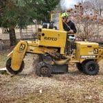 6 Essential Tree Services for a Healthy Property with Easy Tree Service