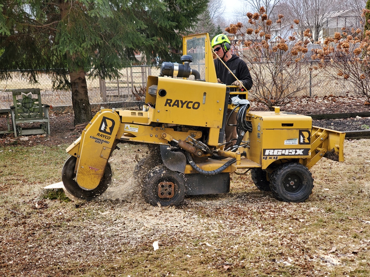 man in a yellow stump grinding vehicle grinding a tree stump